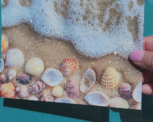 Sparkling shells on beach 5x7 Framed